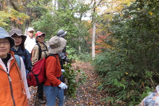 DSCF6186.JPG
