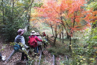 DSCF6195.JPG
