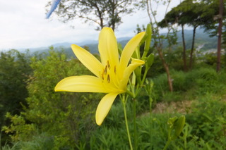 DSCF8734.JPG