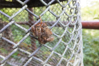 DSCF8831.JPG