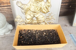 DSCF8843.JPG