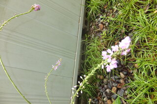 DSCF8845.JPG